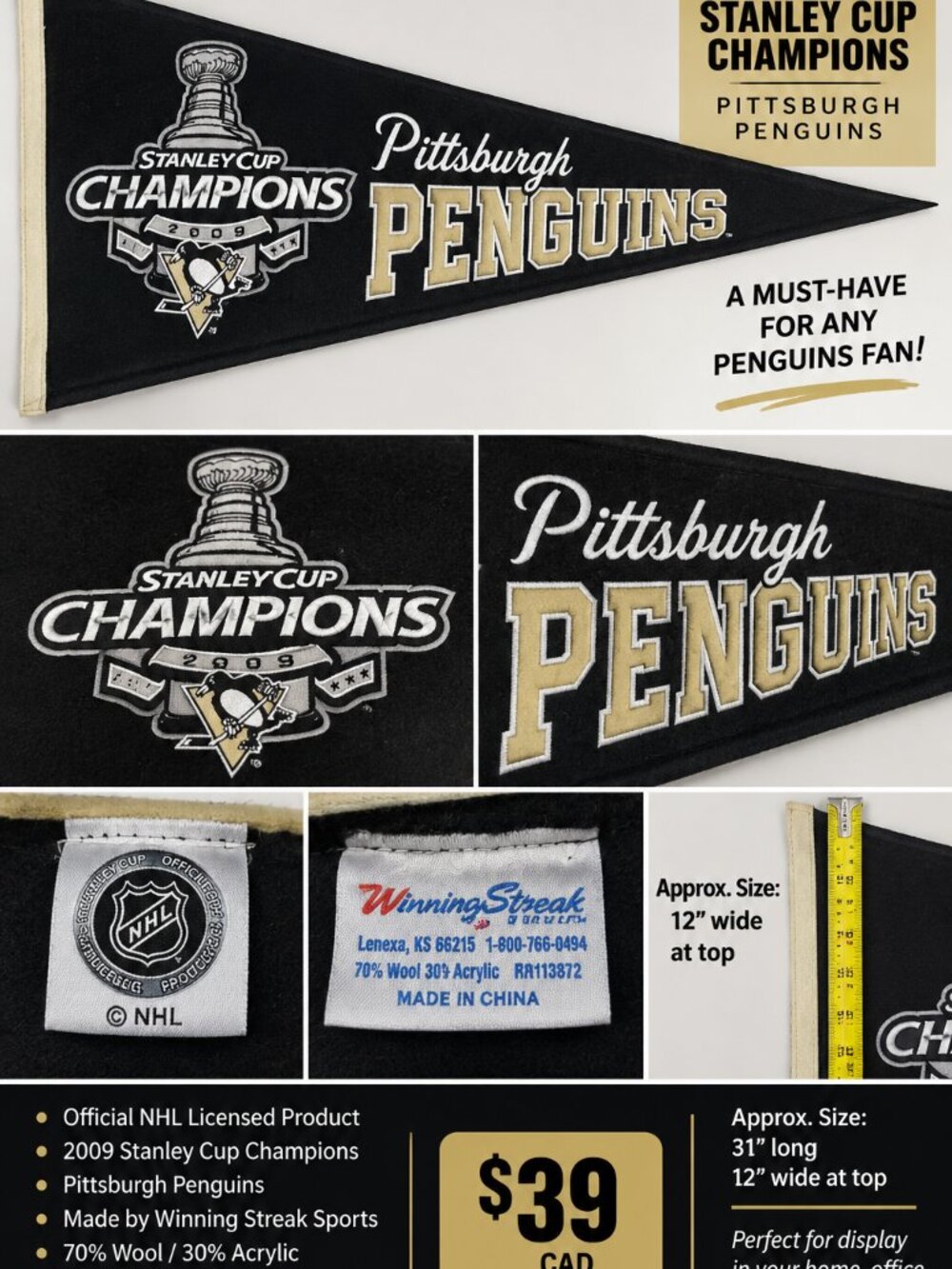Pittsburgh Penguins 2009 Stanley Cup Champions NHL Pennant
